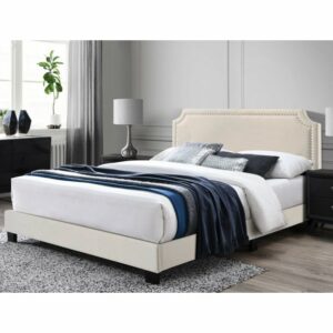 Dipan Tidur Regal Murah